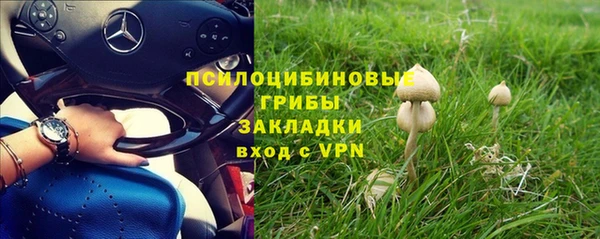 a pvp Армянск