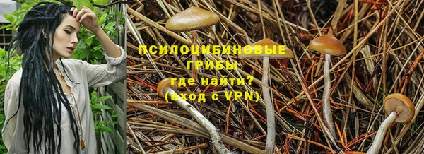 скорость Семилуки